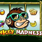 monkey madness slot